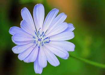 Psychiater Gilching Dr. med Kyra Jooss