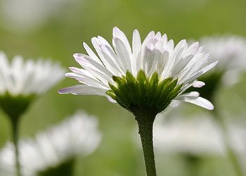 Pharmakotherapie Gilching Dr. med Kyra Jooss