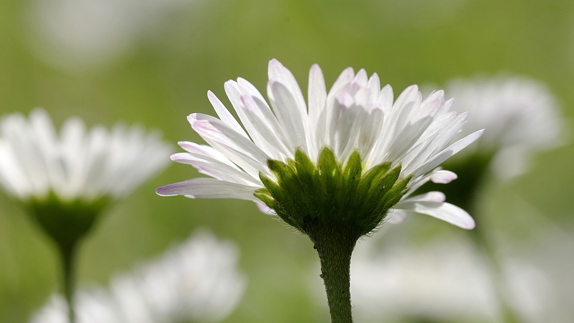 Dr. med. Kyra Jooß | Behandlungsschwerpunkte