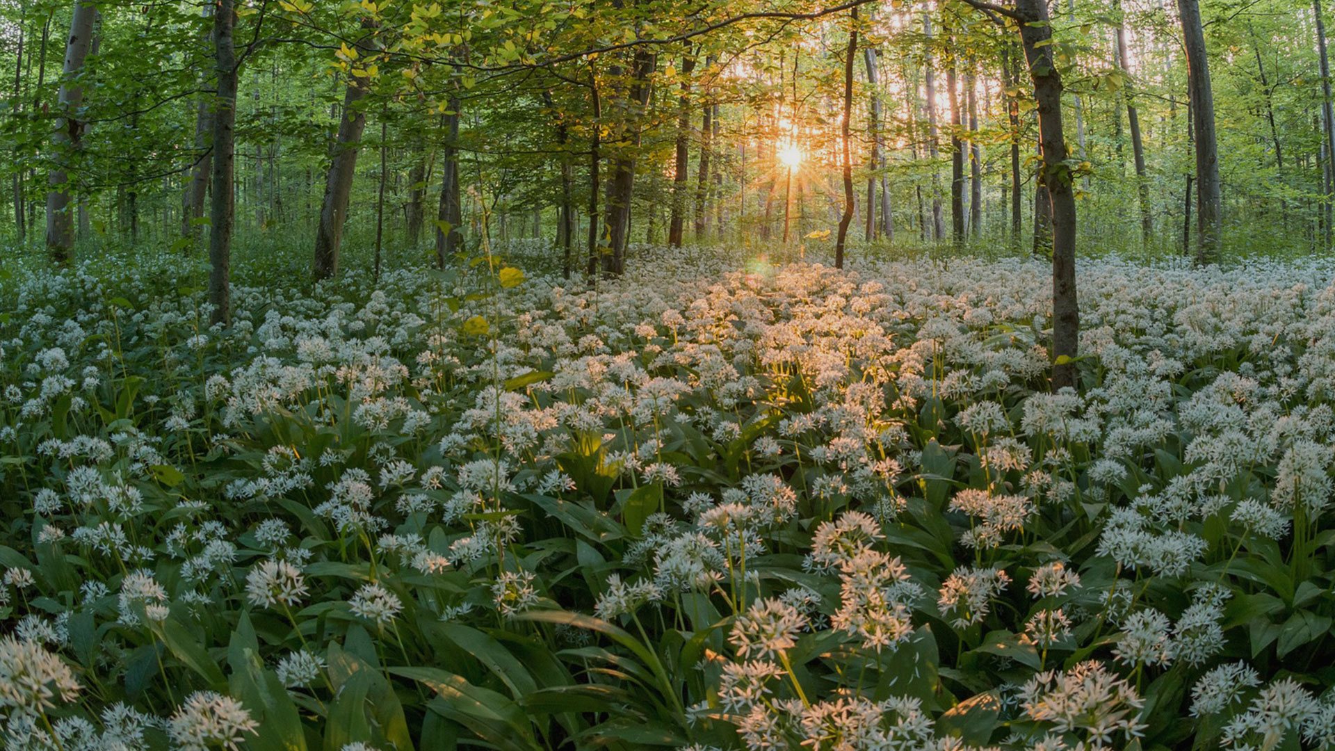 Psychiater Gilching Dr. med. Kyra Jooss