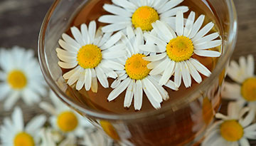 Psychopharmakotherapie-Praxis Dr. med. Jooß