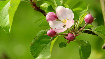 Psychiatrische Begutachtung-Praxis Dr. med. Jooß