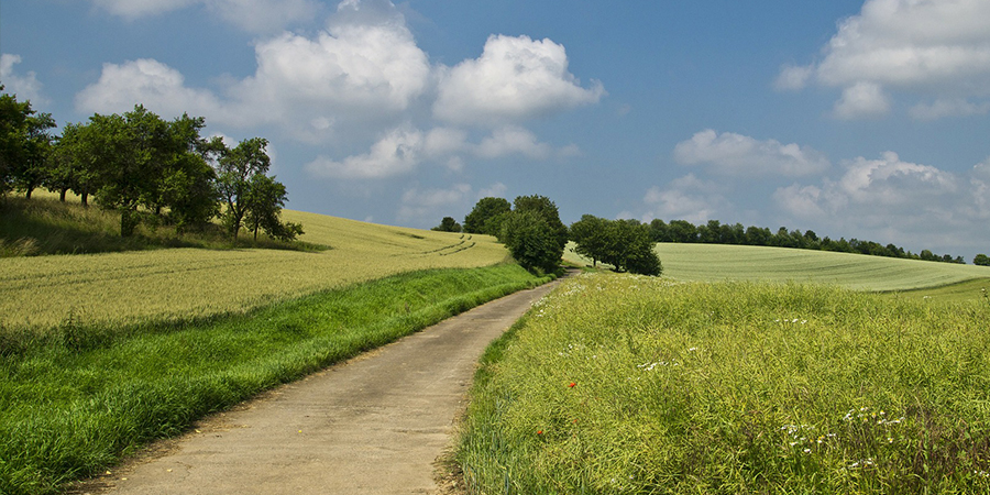 Dr. med. Jooß - Diagnostik