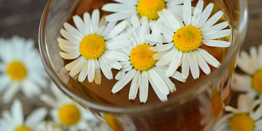 Dr. med. Jooß - Psychopharmakotherapie