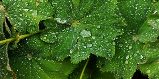 Meine Philosophie Dr Jooß